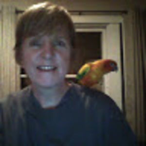 Meet your Posher, Ann